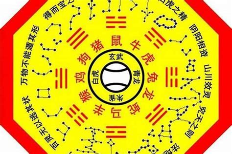 日柱 將星|日柱有将星代表什么 日支将星在八字中代表什么意思